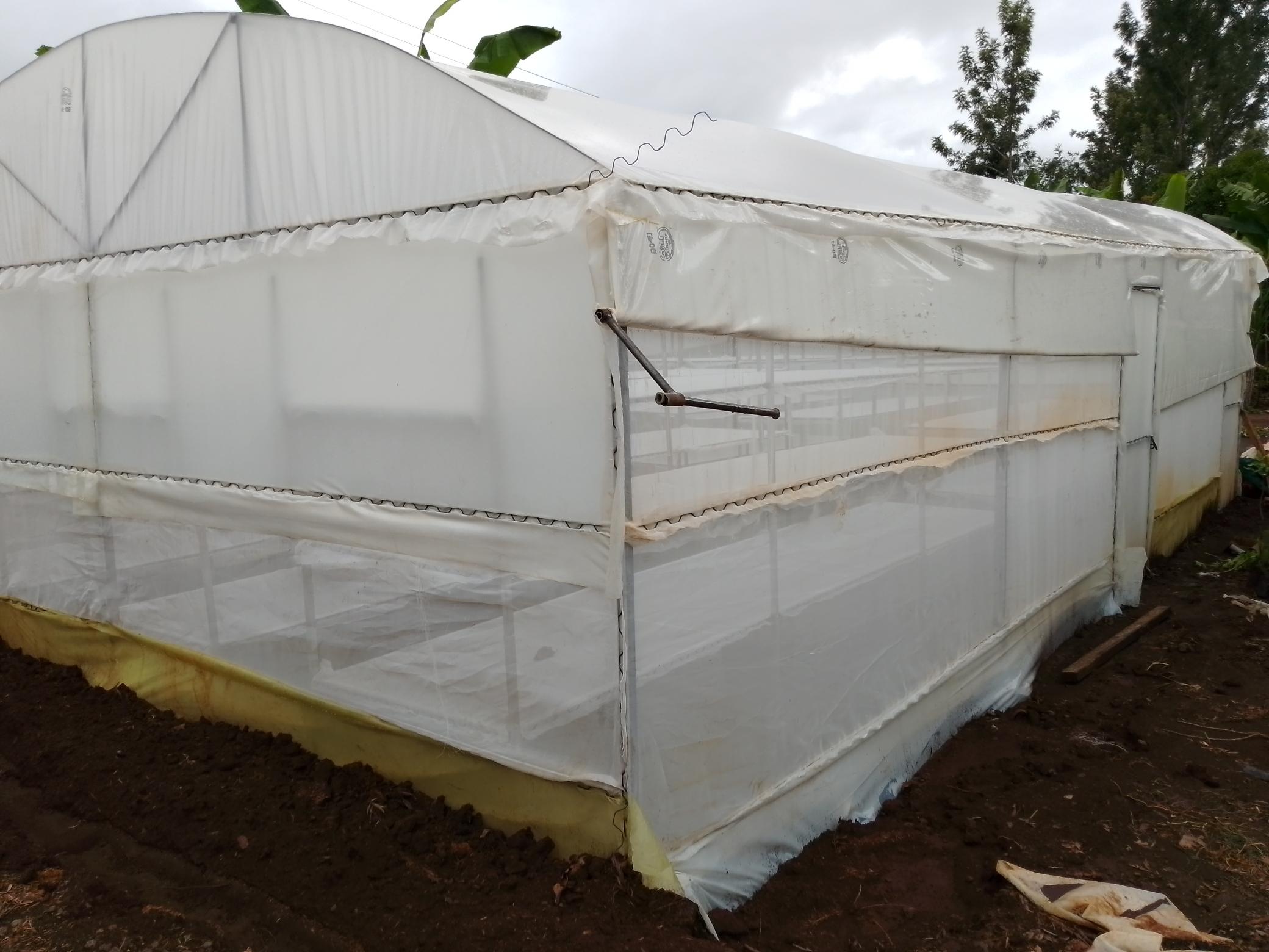 Solar Drying Solar Drying