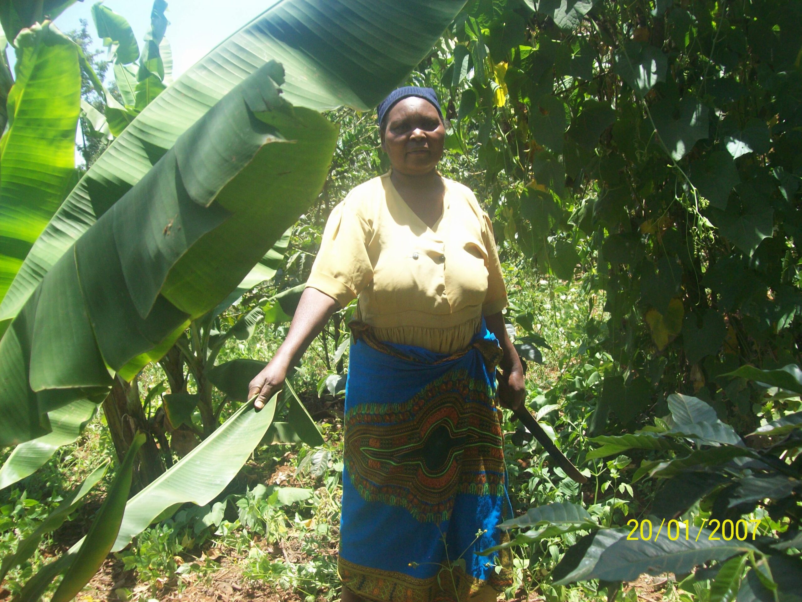 Smart Agriculture and Agroforestry Smart Agriculture and Agroforestry