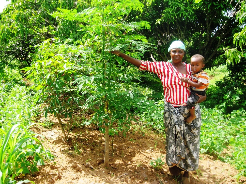 Beneficiaries showcasing moringa oleifera tree Beneficiaries showcasing moringa oleifera tree